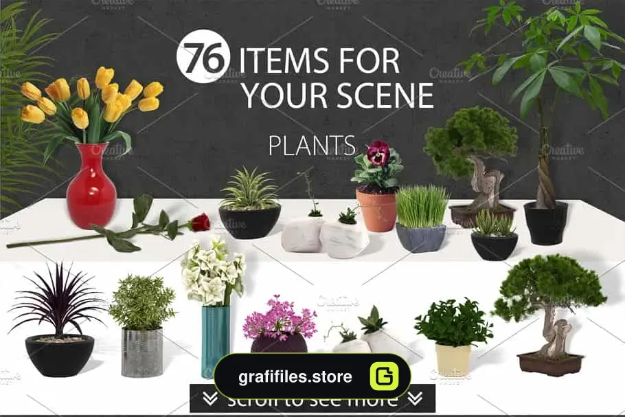 جعبه ابزار ساخت موکاپ Mockup Creator Scene Creator