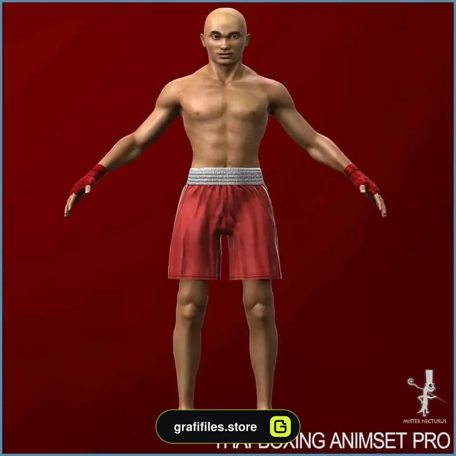 پروژه Muay Thai Animset Pro برای یونیتی - 1