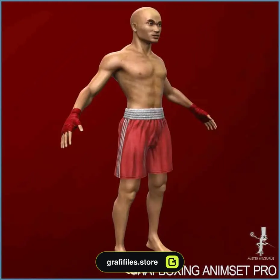 پروژه Muay Thai Animset Pro برای یونیتی - 3