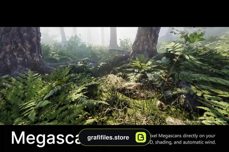 پروژه Nature Renderer برای یونیتی - 3