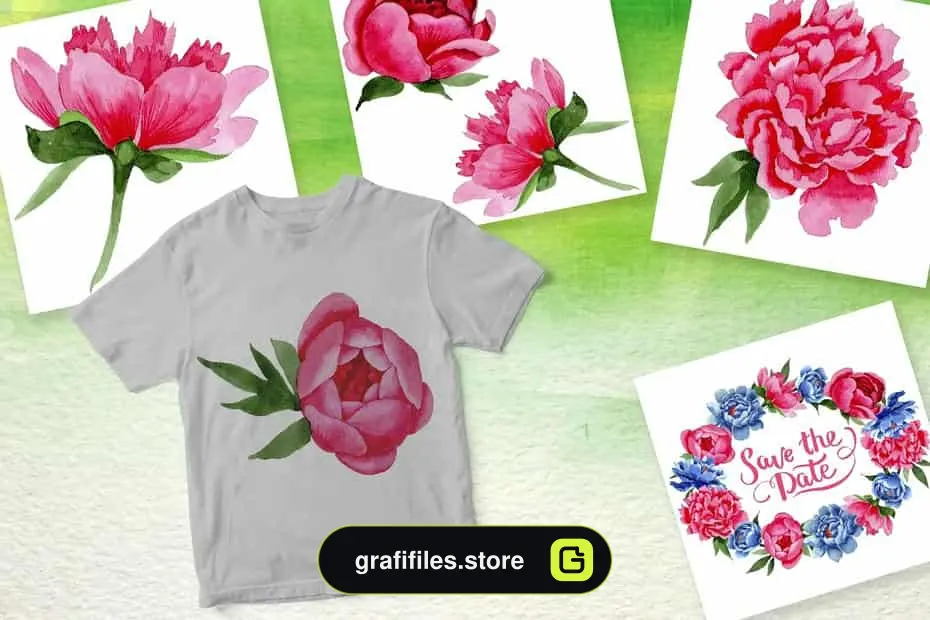 کلیپ آرت آبرنگی گل Peony Watercolor Png