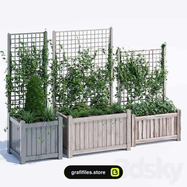 دانلود 70 مدل سه بعدی گل و گیاه زینتی
