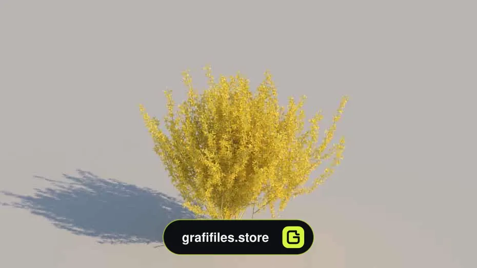 آبجکت بوته