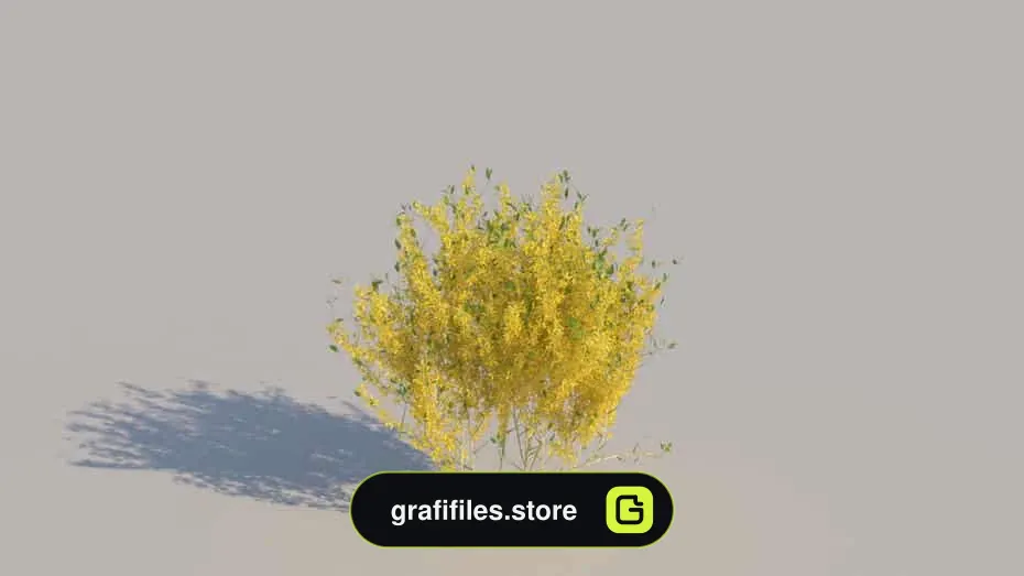 آبجکت بوته