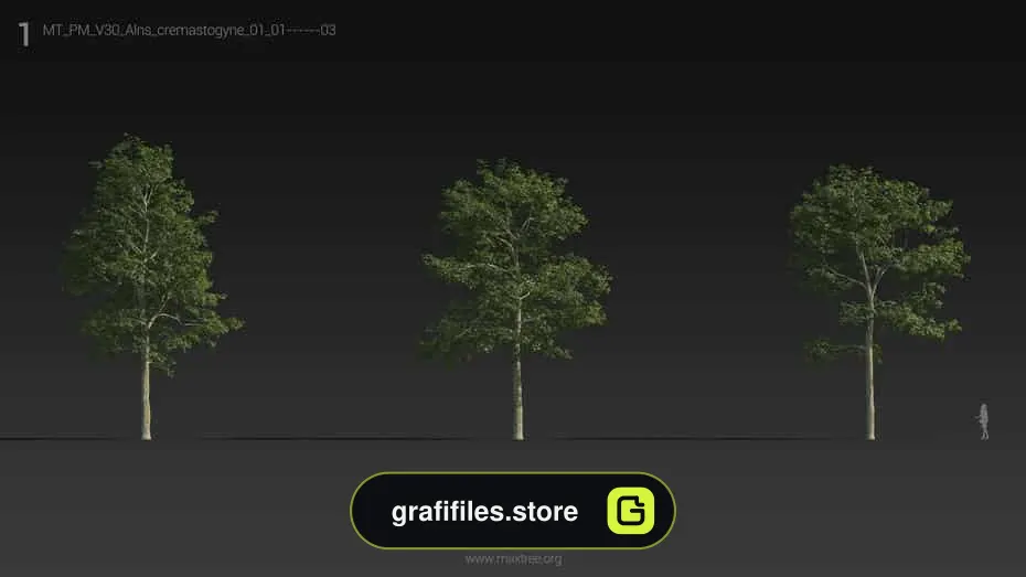 آبجکت درخت و درختچه
