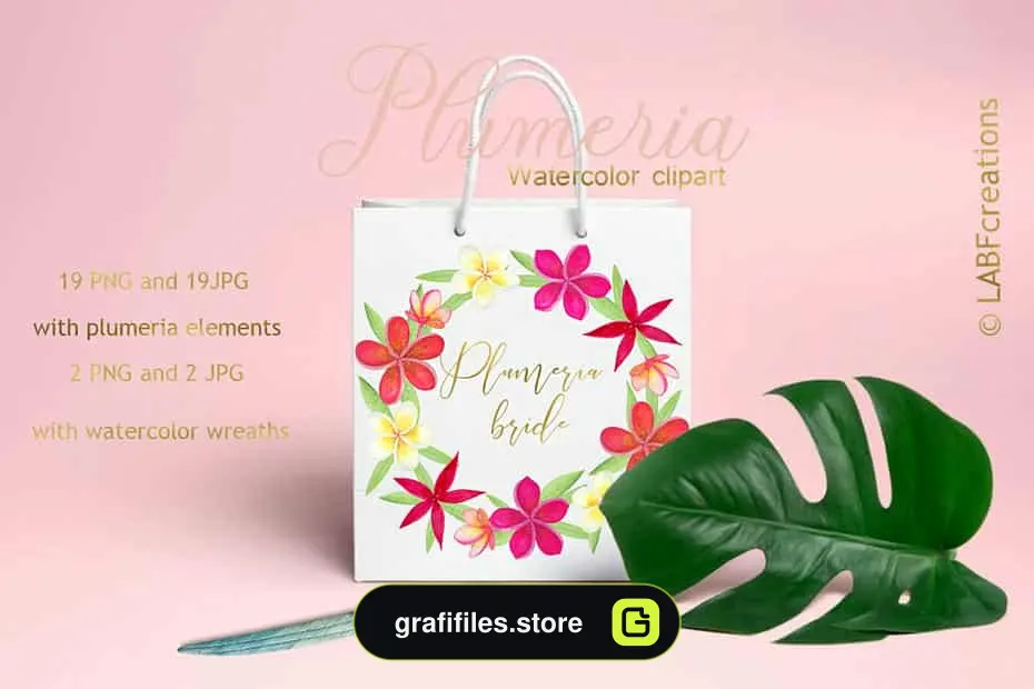 دانلود کلیپ آرت گل های گرمسیری Plumeria Tropical watercolor flowers - 7 کلیپ آرت گل های گرمسیری - 6