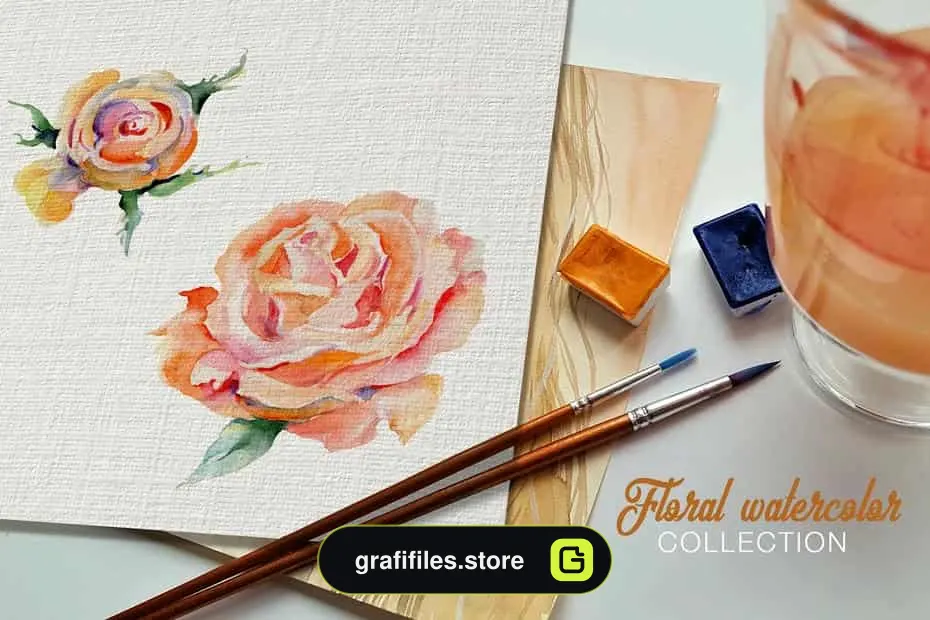 کلیپ آرت آبرنگی گل رز Stylish Rose Watercolor Png