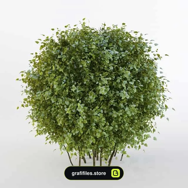 دانلود 60 مدل سه بعدی درخت