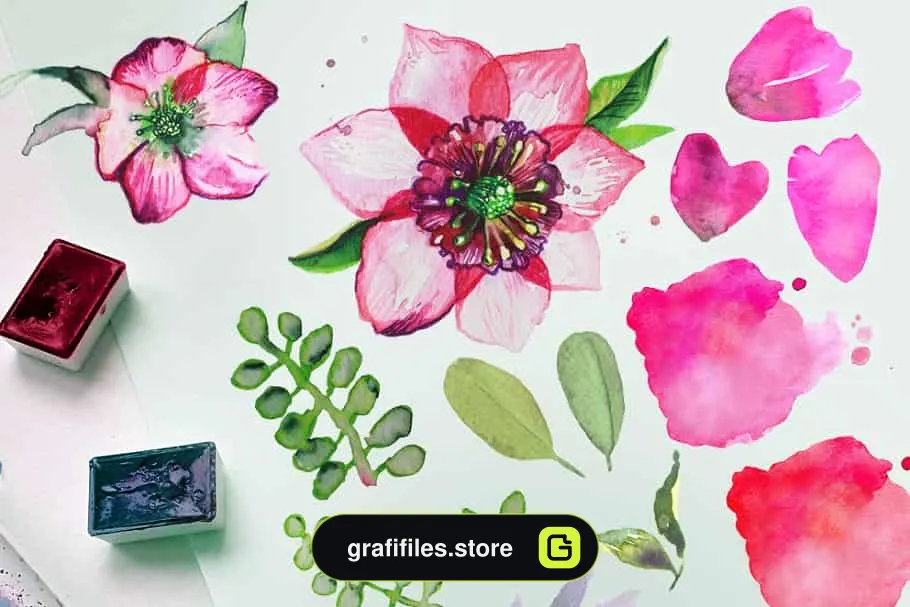 کلیپ آرت آبرنگی گل Watercolor clipart