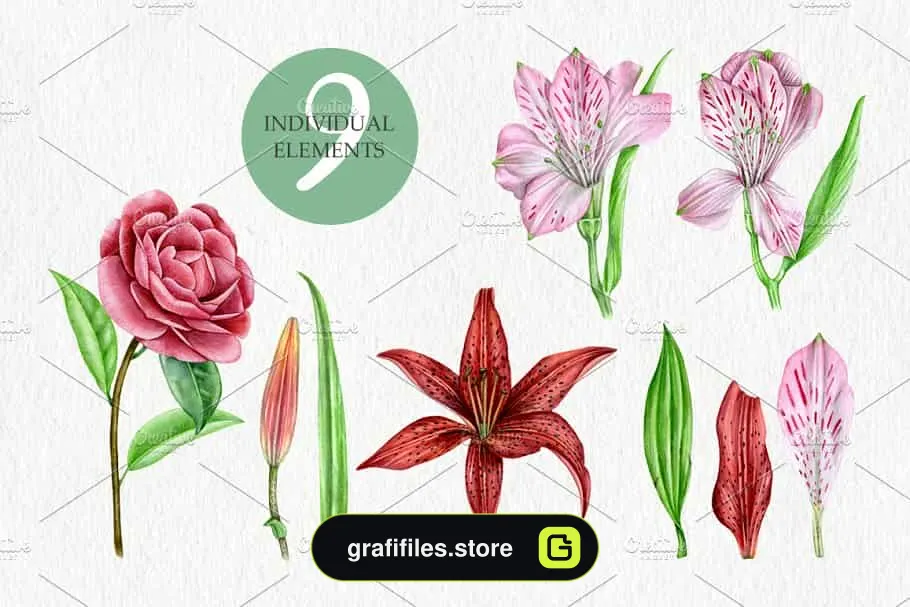 کلیپ آرت آبرنگی گل Watercolor Flowers