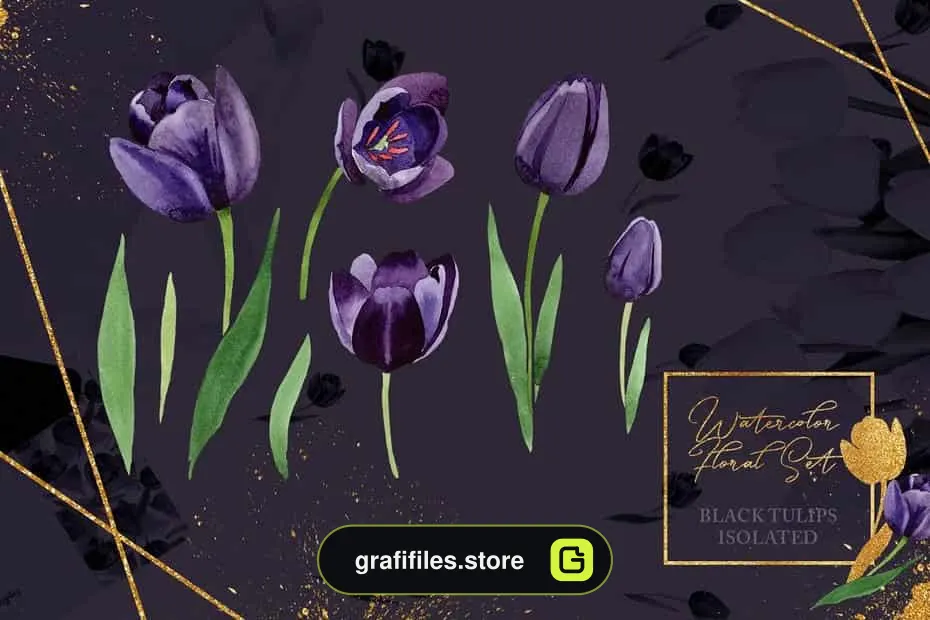 دانلود کلیپ آرت گل لاله سیاه Wonderful Black Tulips PNG Set - 3 کلیپ آرت گل لاله سیاه