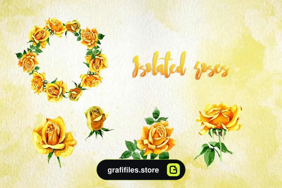 دانلود کلیپ آرت آبرنگی گل رز زرد Yellow Roses PNG watercolor set - 4 کلیپ آرت آبرنگی گل رز زرد - 3