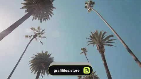 فوتیج درخت نخل Palm Trees Slow Drive