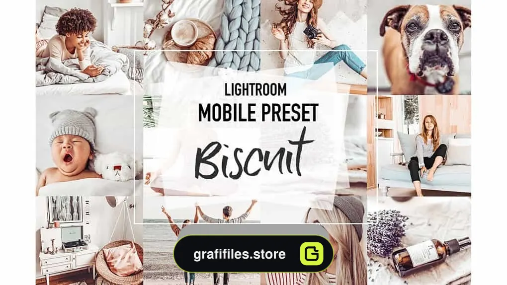 پریست تغییر رنگ برای لایت روم موبایل BISCUIT 4 Mobile Lightroom Presets