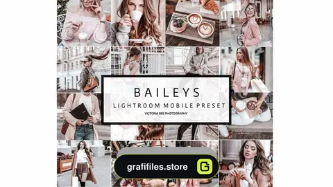 دانلود پریست لایت روم برای موبایل – NEW! Mobile Lightroom Preset BAILEYS