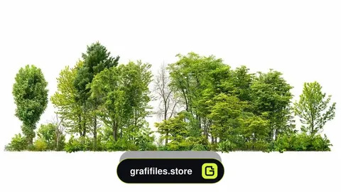 دانلود تصویر کات اوت درخت و درختچه