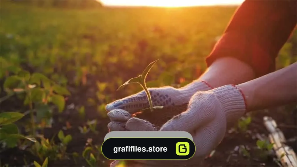 فوتیج کاشت نهال Gardener Planting Seedling