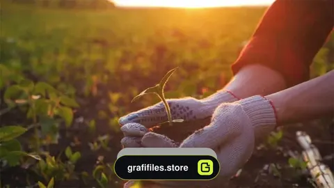 فوتیج کاشت نهال Gardener Planting Seedling