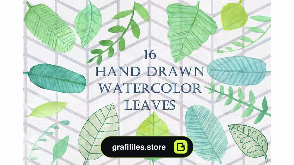 دانلود کلیپ آرت برگ آبرنگی Handpainted Watercolor Leaves