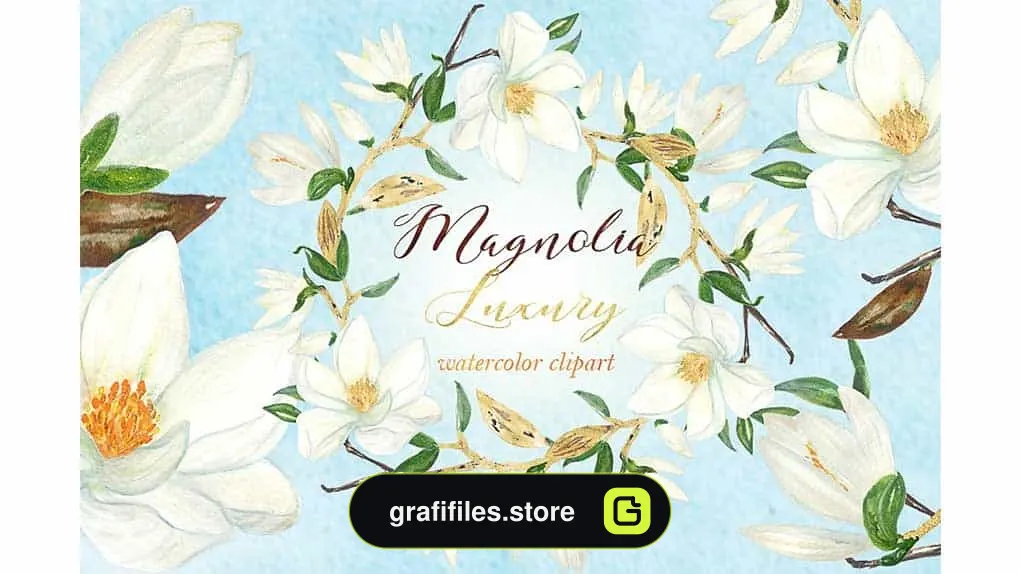 دانلود کلیپ آرت آبرنگی گل سفید Magnolia white luxury illustrations