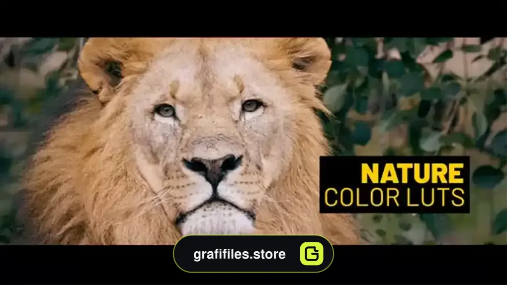 دانلود پریست رنگ طبیعت Nature LUTs