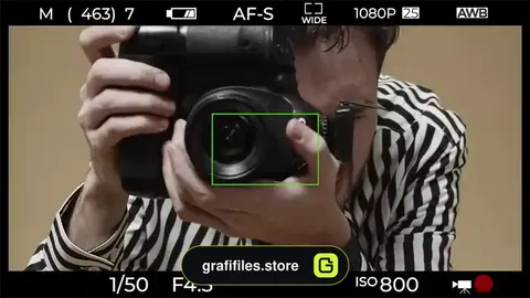 دانلود 35 پریست پریمیر نمایش عکس Photo Display
