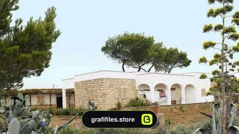 دانلود تصاویر کات اوت گیاهان