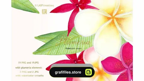 دانلود کلیپ آرت گل های گرمسیری Plumeria Tropical watercolor flowers
