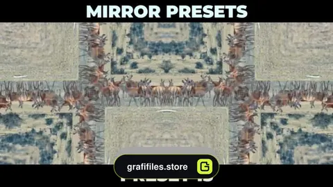 دانلود پریست آماده افکت آینه برای پریمیر – Mirror Presets
