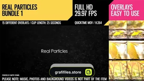 دانلود فوتیج ذرات معلق Real Particles Bundle 1- Soft Particles