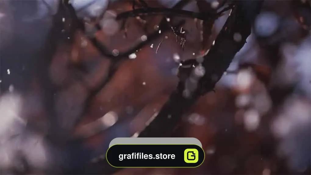 فوتیج اسلوموشن بارش برف بر روی شاخ درخت Snowflakes On Branches Slow Motion