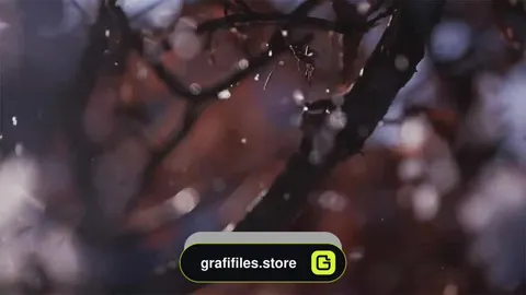 فوتیج اسلوموشن بارش برف بر روی شاخ درخت Snowflakes On Branches Slow Motion