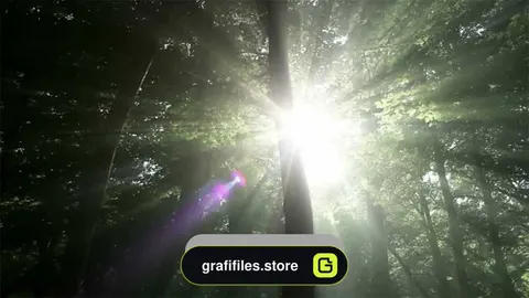 فوتیج نور خورشید در جنگل سبز Sunlight In Green Forest