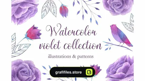 دانلود کلیپ آرت آبرنگی گل بنفش Watercolor violet collection