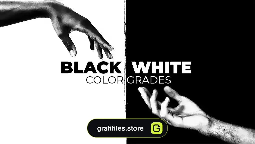 پریست رنگ سیاه و سفید افترافکت Black And White Color Grades