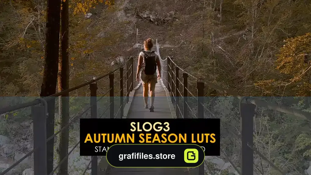 پریست افترافکت رنگ پاییز Slog3 Autumn Season Luts