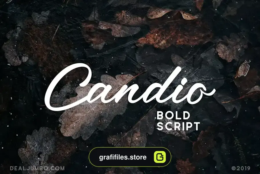 دانلود فونت انگلیسی Script Fonts Bundle - 16 فونت انگلیسی Script Fonts Bundle - 15