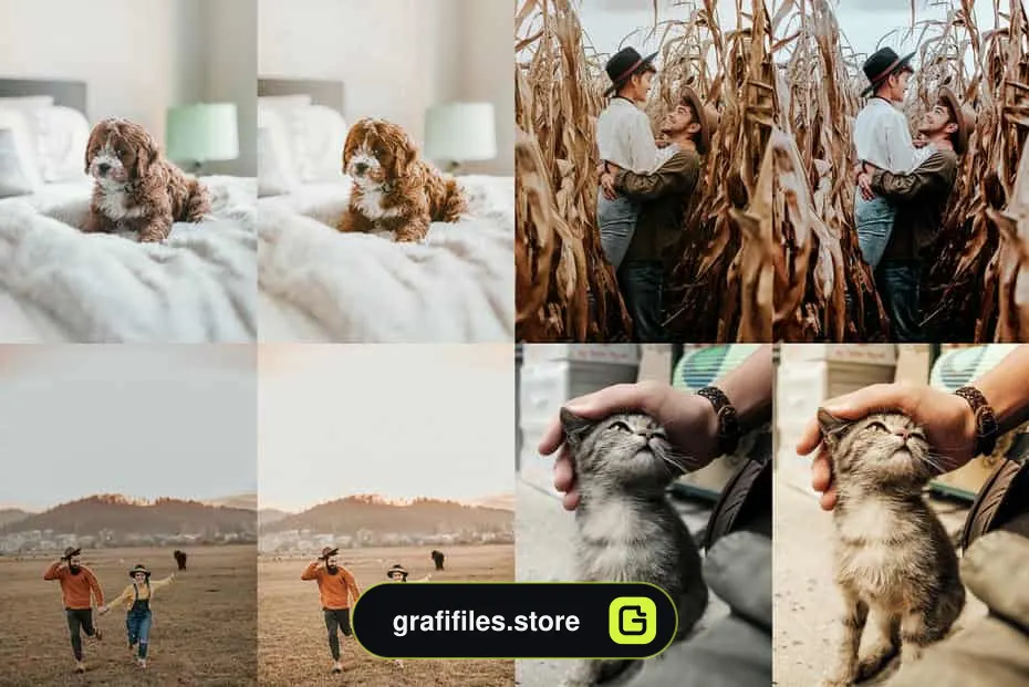 دانلود پریست لایت روم - VSCO VSCO – Lightroom Presets - 3 دانلود پریست اصلاح رنگ برای لایت روم