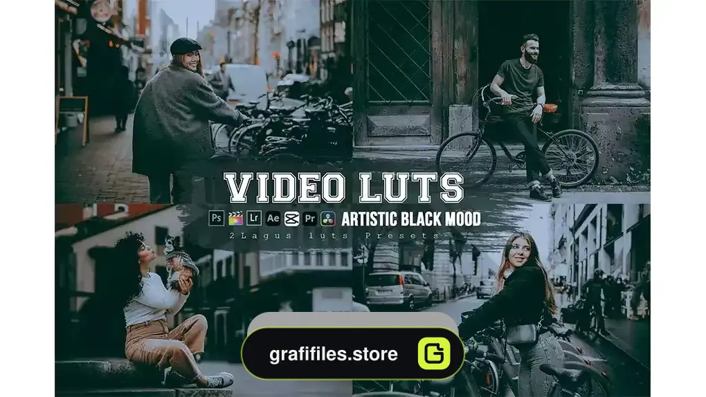 دانلود پریست لایتروم سیاه و سفید Artistic Black Mood Preset Luts Video Premiere Pro